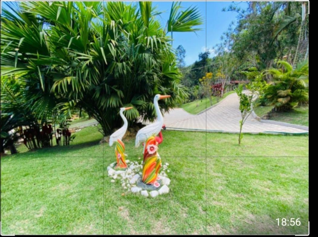 Vila Lindo Sitio Em Domingos Martins Exteriér fotografie